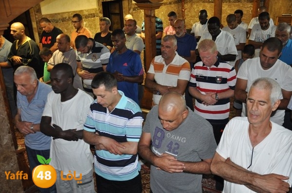 trawe7 mahmodiya 713 (34).JPG